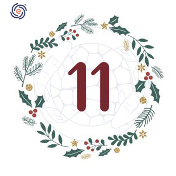 December 11th Christmas Discount Calendar - K1+ Advanced media 25% Off