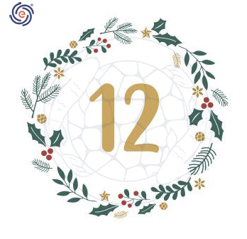 December 12th Christmas Discount Calendar - Lernex Pro 25% Off