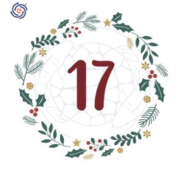 December 17th Christmas Discount Calendar - 25% Off Koi SOS Ammofix