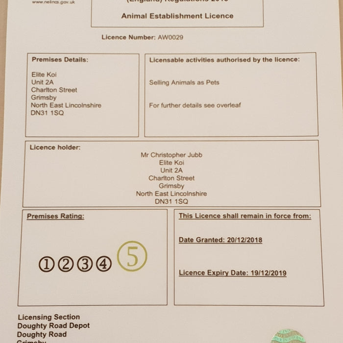 Elite Koi receive a 5 star rating from Local Authority 