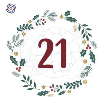 December 21st Christmas Discount Calendar 25% Off Koi Sos GH+ Pro