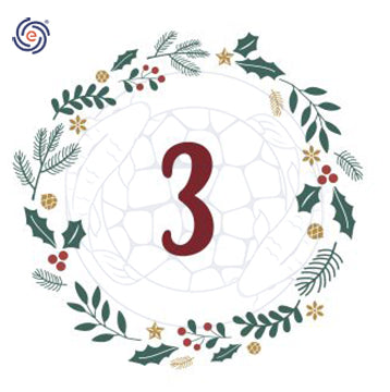 December 3rd Christmas Discount Calendar - 25% off Envirex - A biological pond cleaner