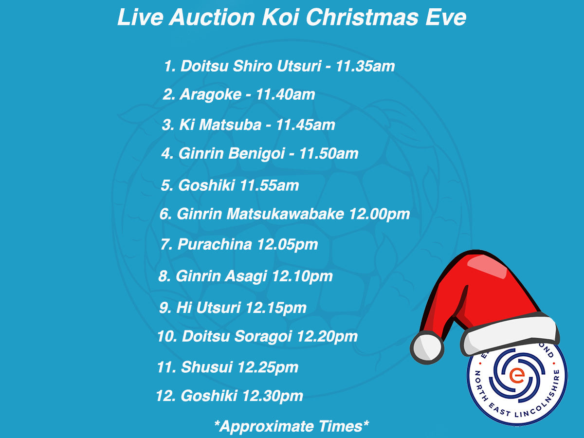 CHRISTMAS EVE LIVE AUCTION - Starts 11:30am