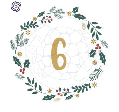 December 6th Christmas Discount Calendar - Detox 25% Discount