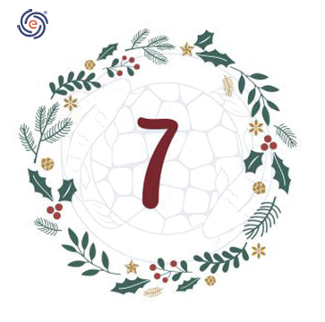 December 7th Christmas Discount Calendar - Resolve 25% Off