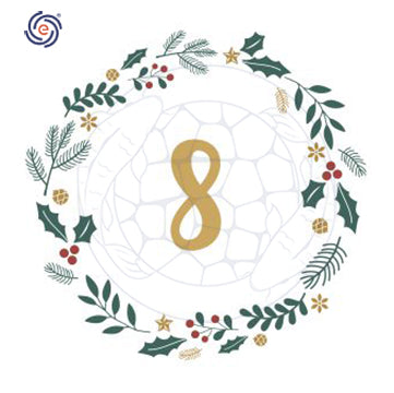 December 8th Christmas Discount Calendar - Automatic Fish Feeder