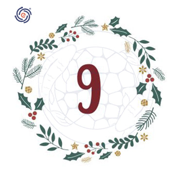 December 9th Christmas Discount Calendar - 3stage 10" dechlorinator unit