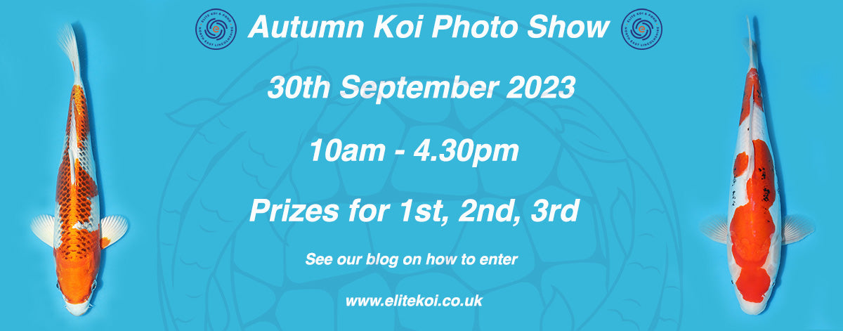 Autumn Photo Show 2023