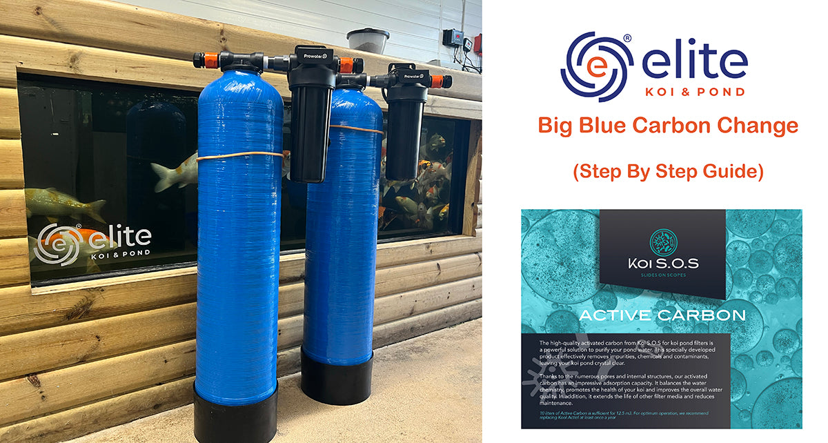 Chlorine removal is very important to prevent damage to your fish and Koi pond ecosystems