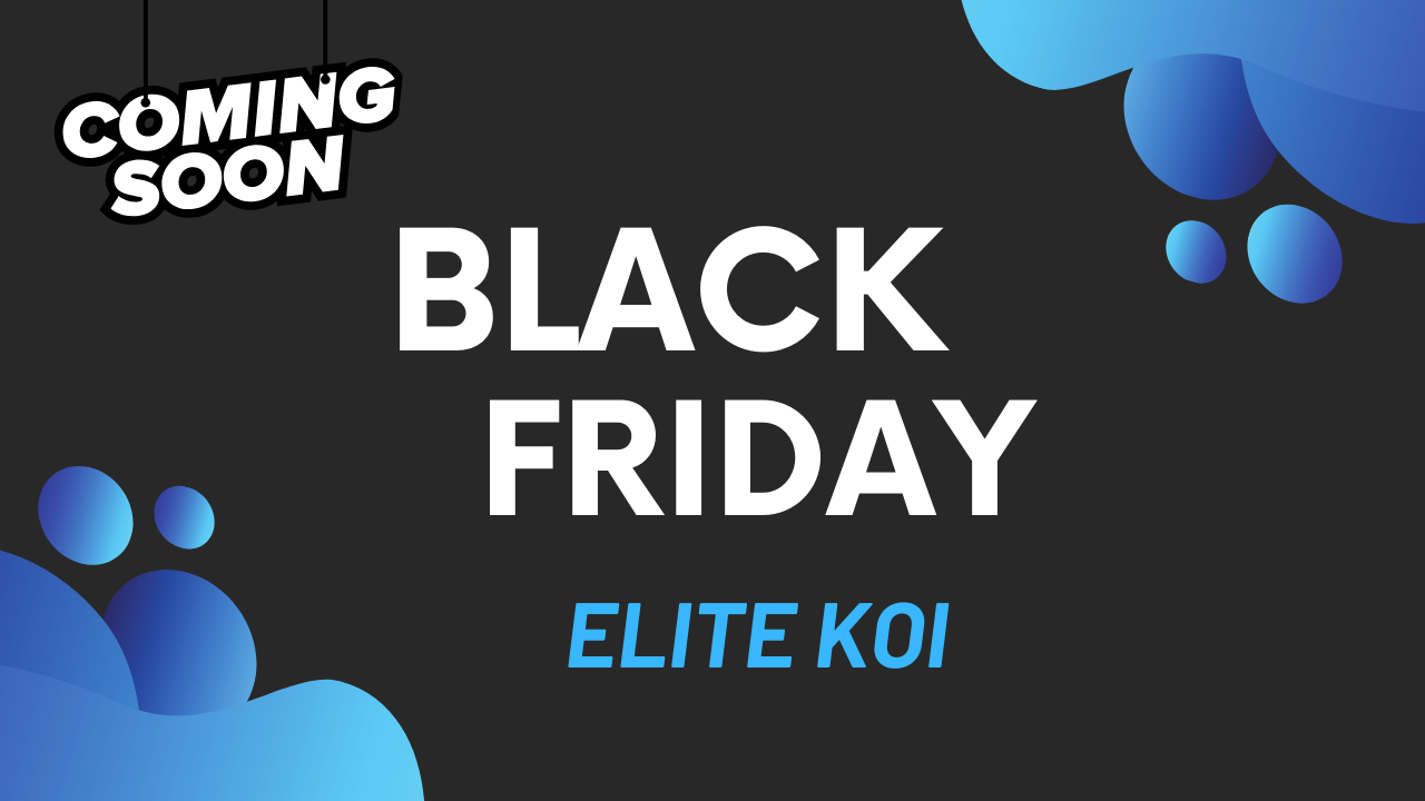 Exciting Black Friday Deal: 28 Stunning Koi Happening Now!