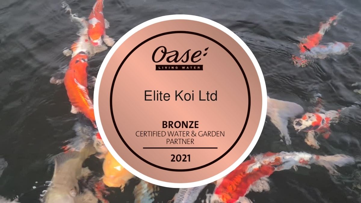 It's Official! We're an Oase Certified Partner