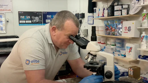 Video showing Skin Fluke & the hard to spot Koi Parasite Costia at 40x 100x & 400x magnification