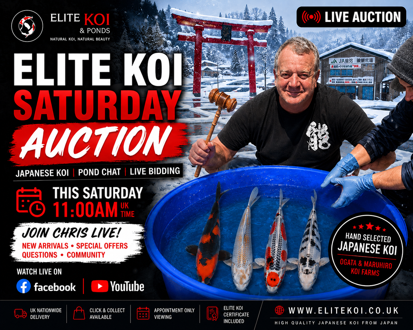 Elite Koi TV LIVE This Saturday – Japanese Koi Talk, Pond Health Q&A & Weekly Koi Auction