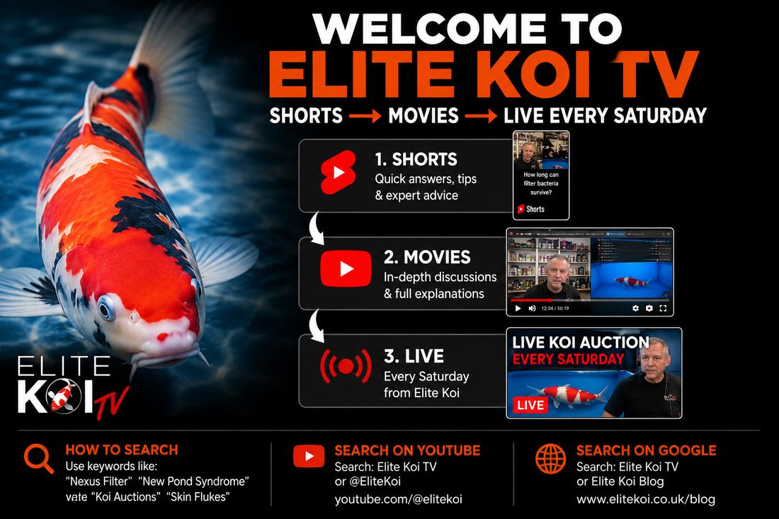 Elite Koi TV guide showing Shorts, educational videos and Saturday live koi auctions.