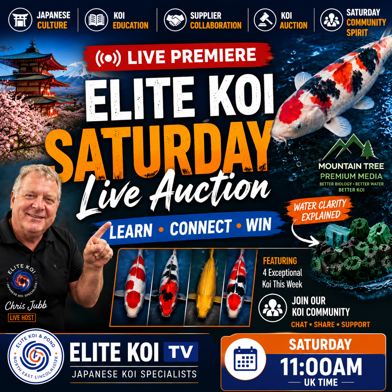 Every Saturday at 11:00am we host our live Japanese Koi Auction, where we showcase hand-selected koi, answer your questions and enjoy chatting with fellow koi keepers from across the UK.