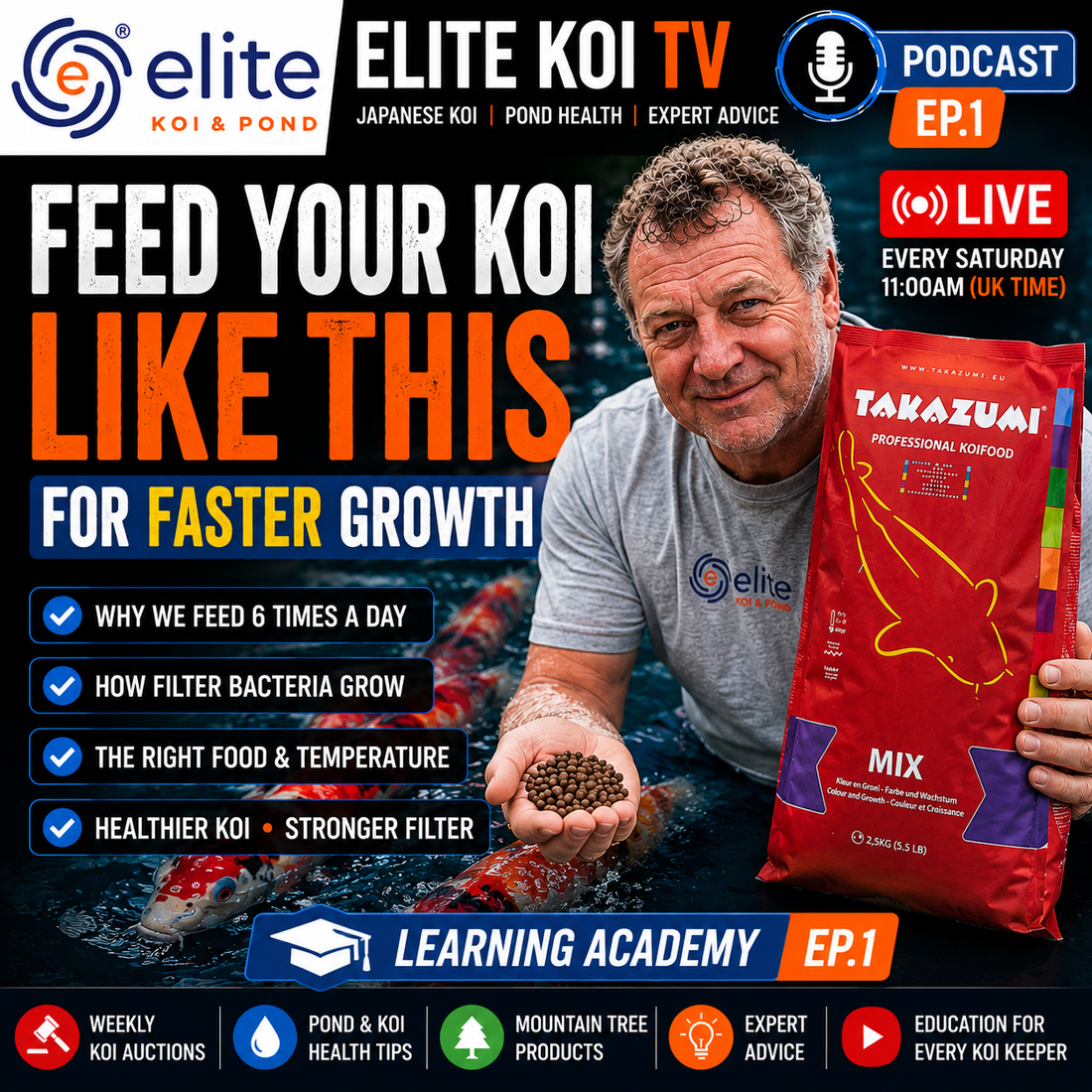 Feed Your Koi Like This for Faster Growth | Elite Koi Learning Academy EP1
