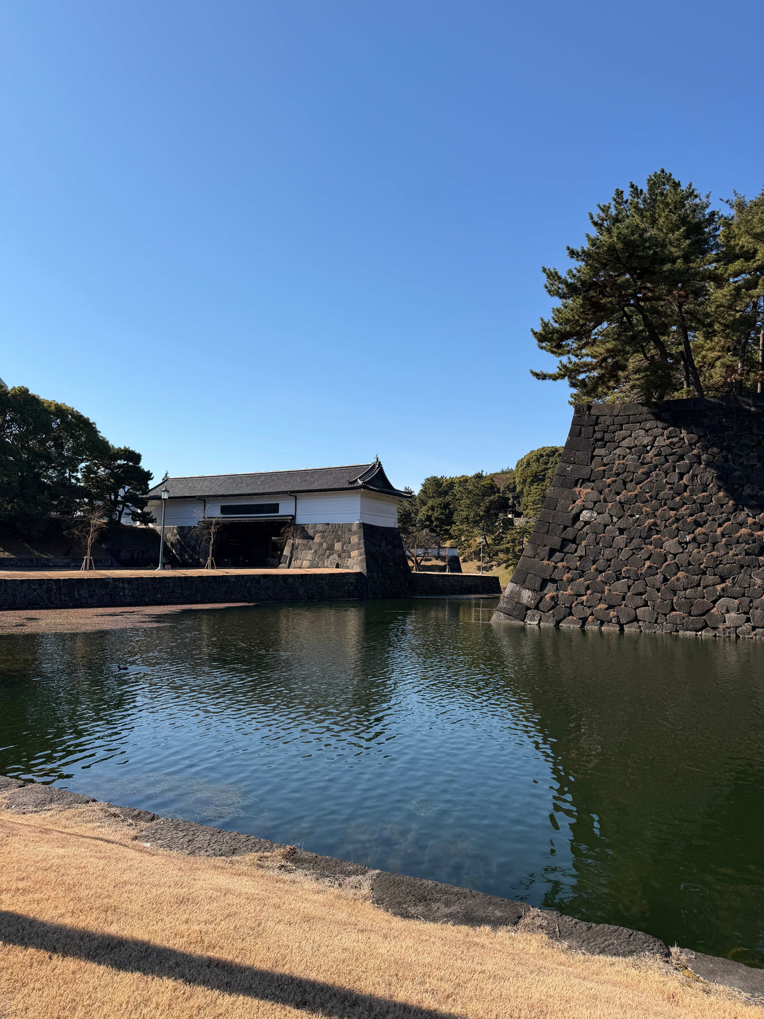 Day Five – History, Koi, and Quiet Confidence