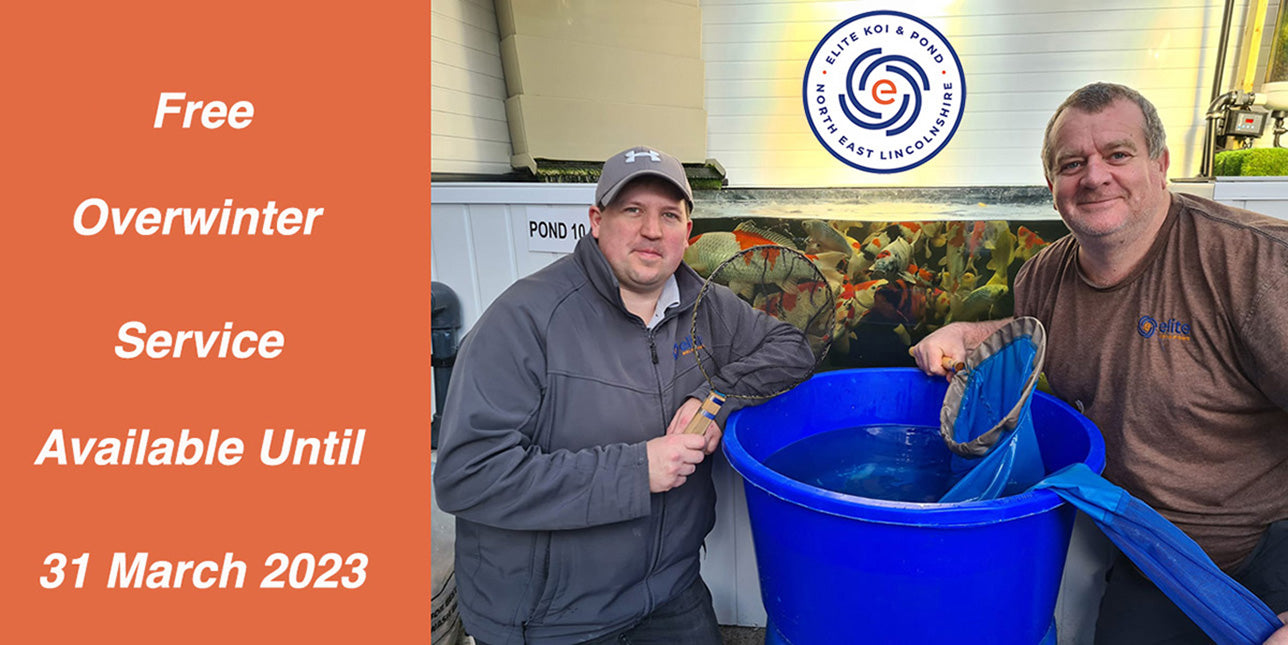 FREE Overwinter Service is Back