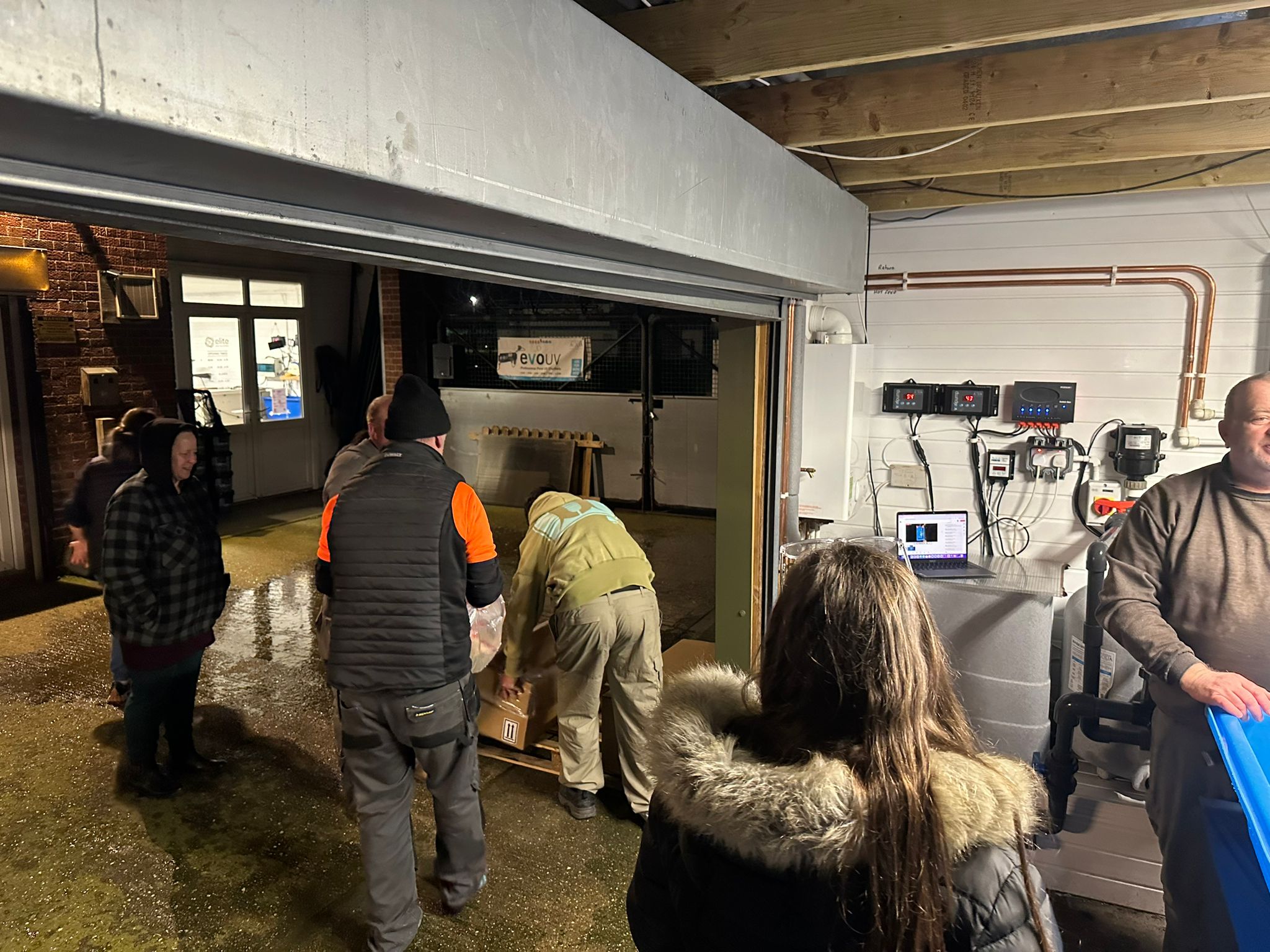 Unboxing 180+ Japanese Koi Marvels with Elite Koi & Subscribers!