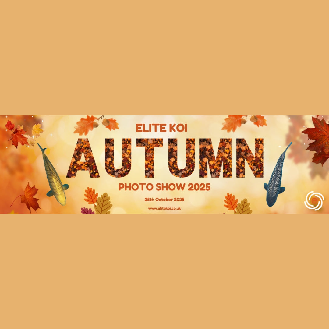 🍂 Elite Koi Autumn Photo Show 2025