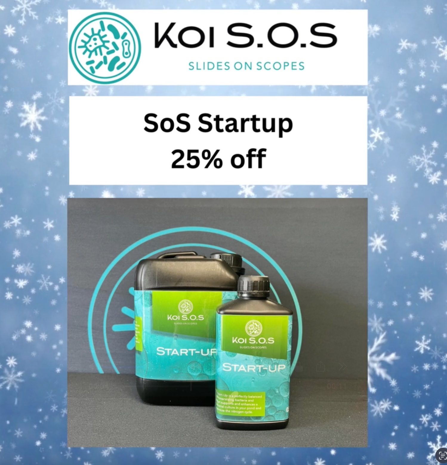 🎄 Day 1 Christmas Deal: 25% OFF Koi SoS Startup! 🎄