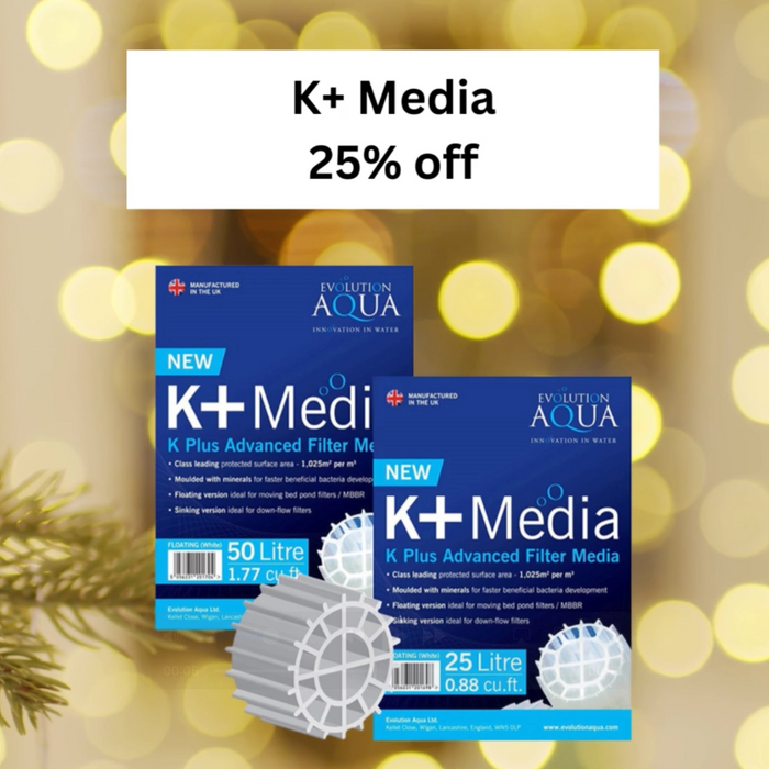 🎄 Day 12 Christmas Deal at Elite Koi: 25% OFF K+ Media! 🎄