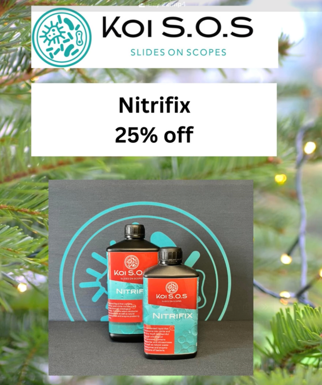 🎄 Day 22 Christmas Deal at Elite Koi: 25% OFF Koi SOS Nitrifix! 🎄