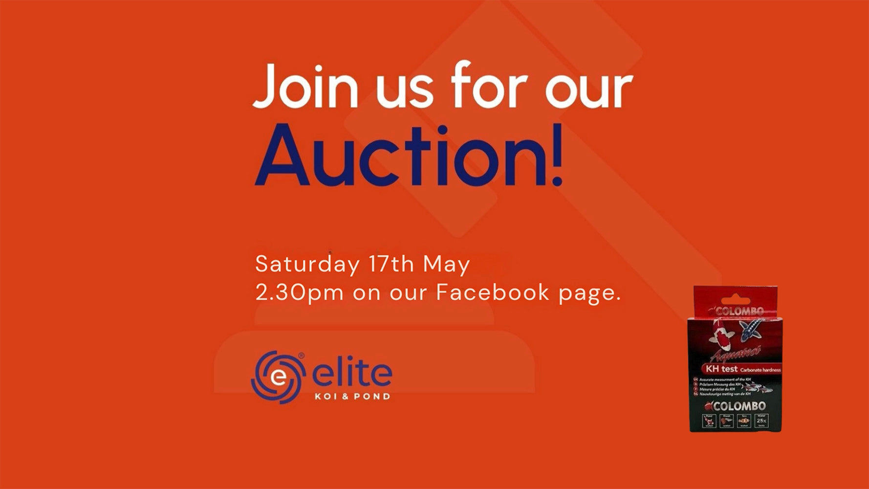 Join Our Weekly Japanese Koi Auction Livestream - 17th of May
