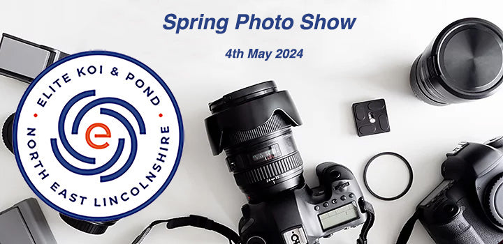 Elite Koi's Spring PhotoShow: Capture Your Koi's Beauty and Win Big