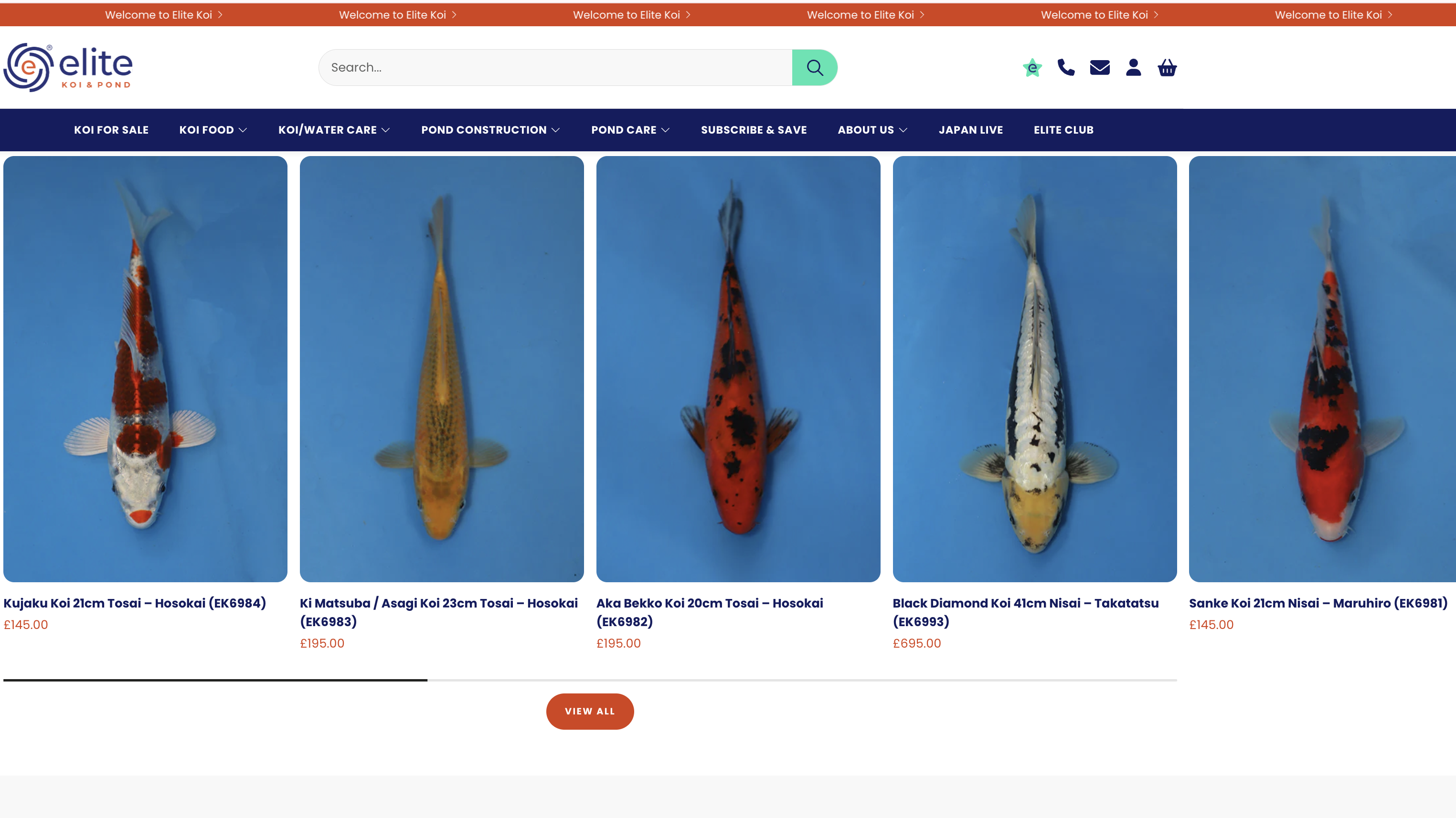 New Koi Arrival – Premium Japanese Koi Now Available at Elite Koi & Ponds