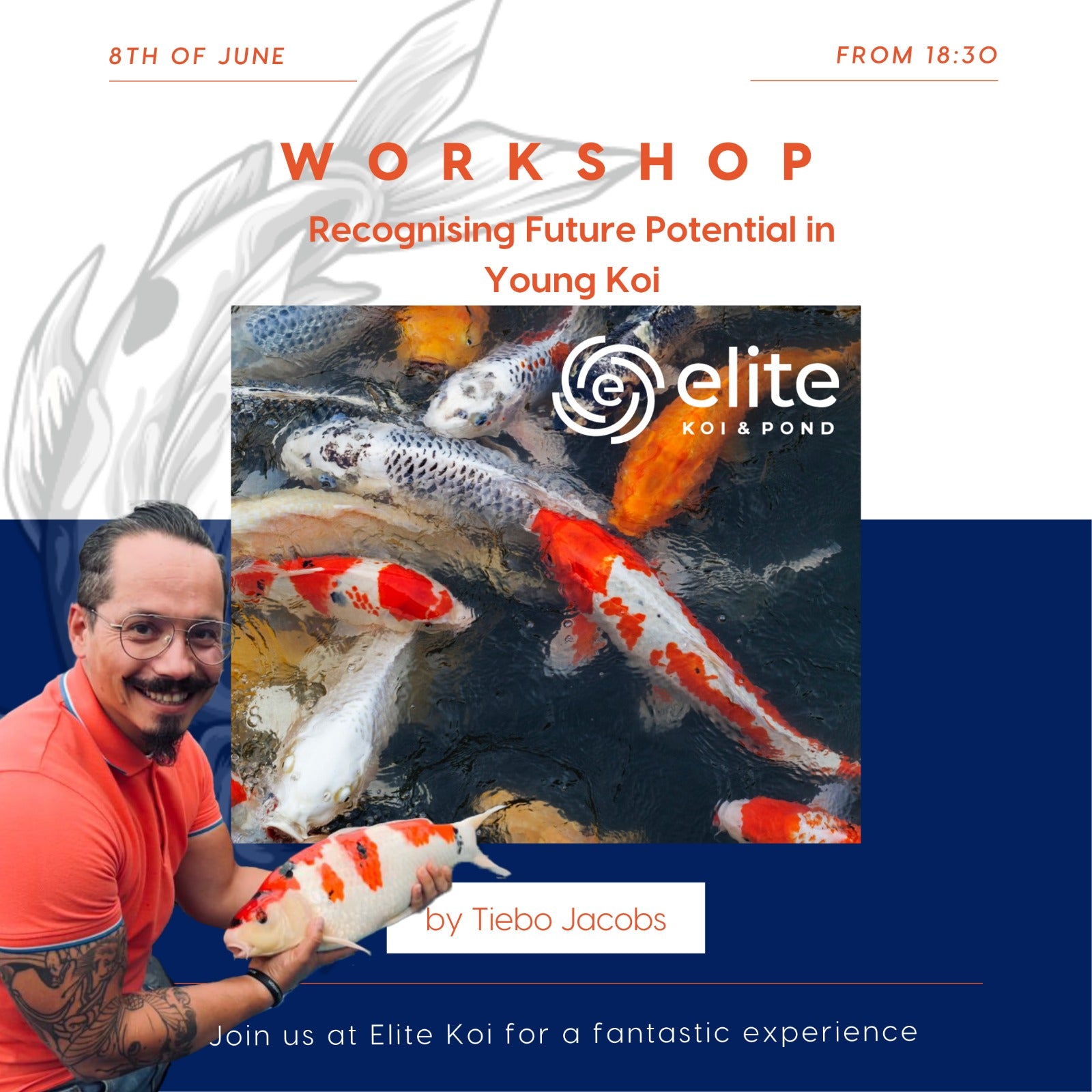 Recognising potential in young Koi Workshop