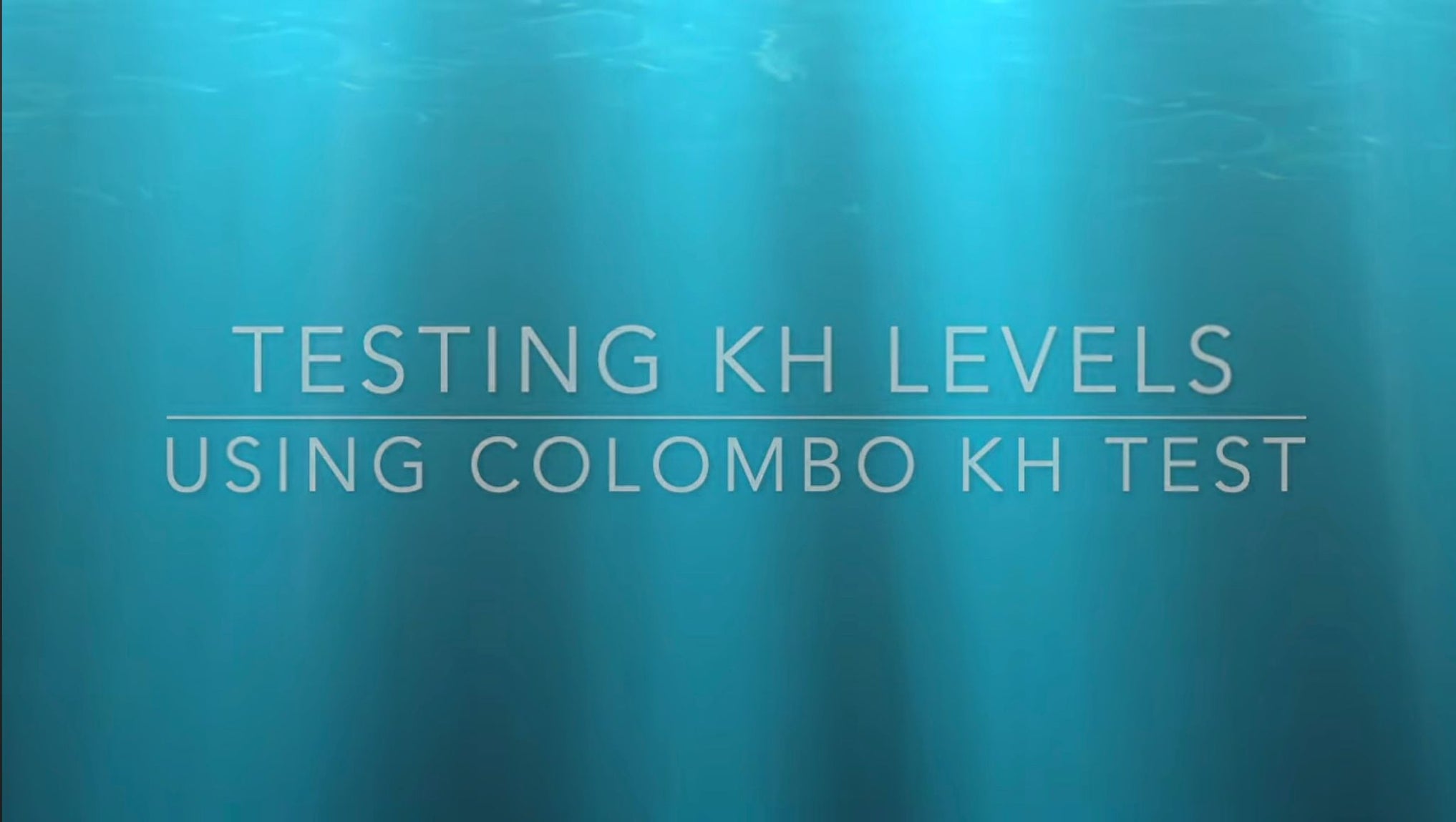 Prevent Koi Disaster - Test and Balance Your Pond's Critical KH Levels ...