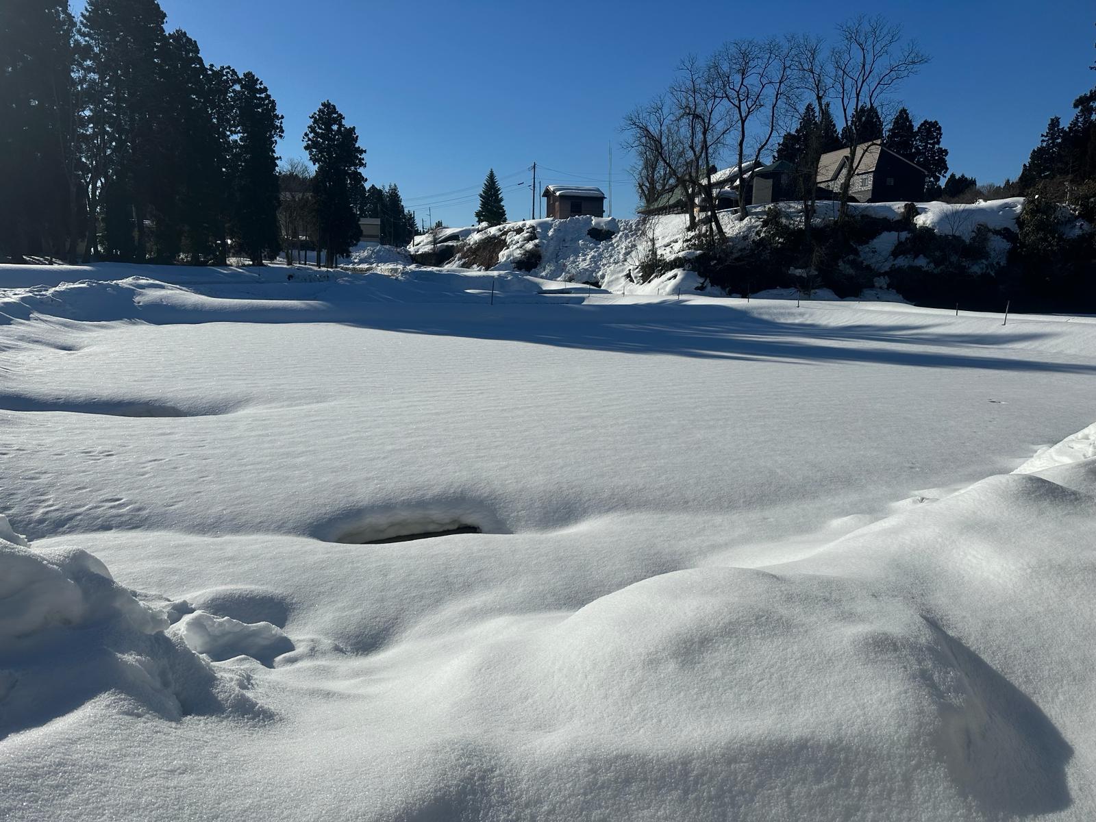 Navigating the Nooks of Niigata