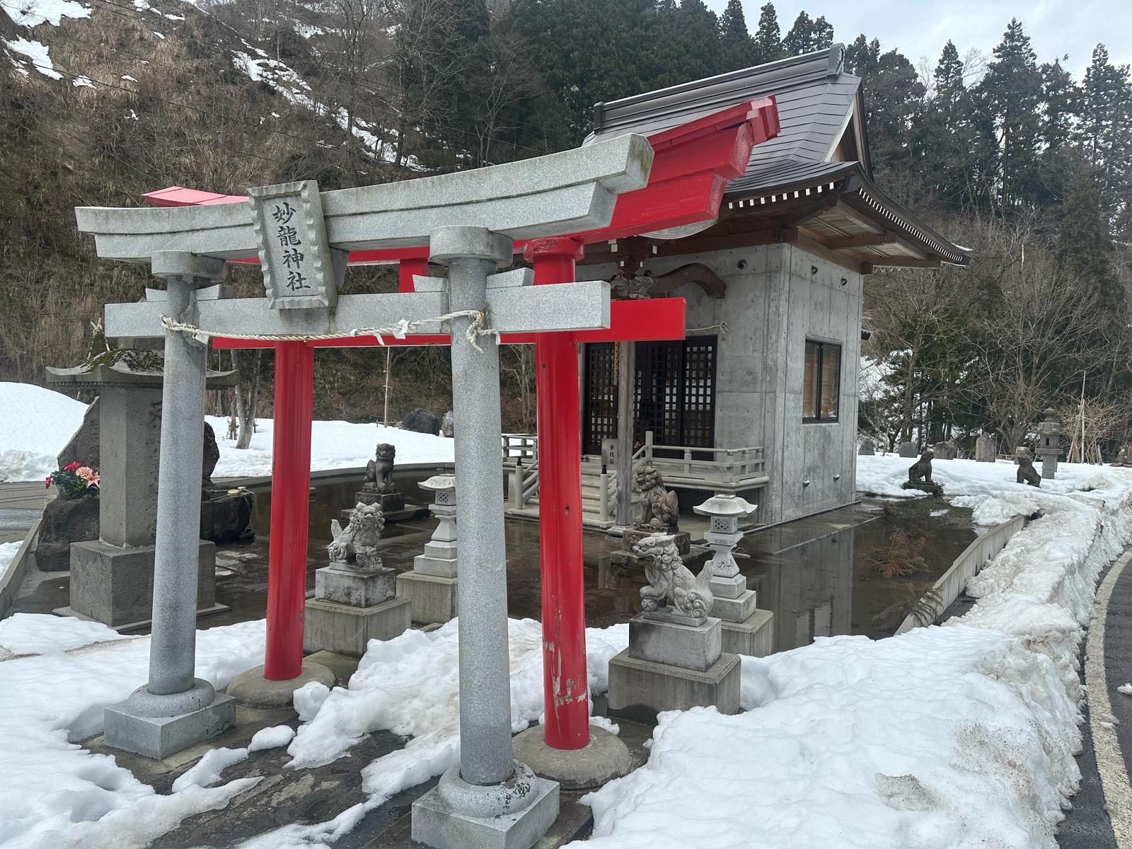 A Chronicle of Passion and Perseverance