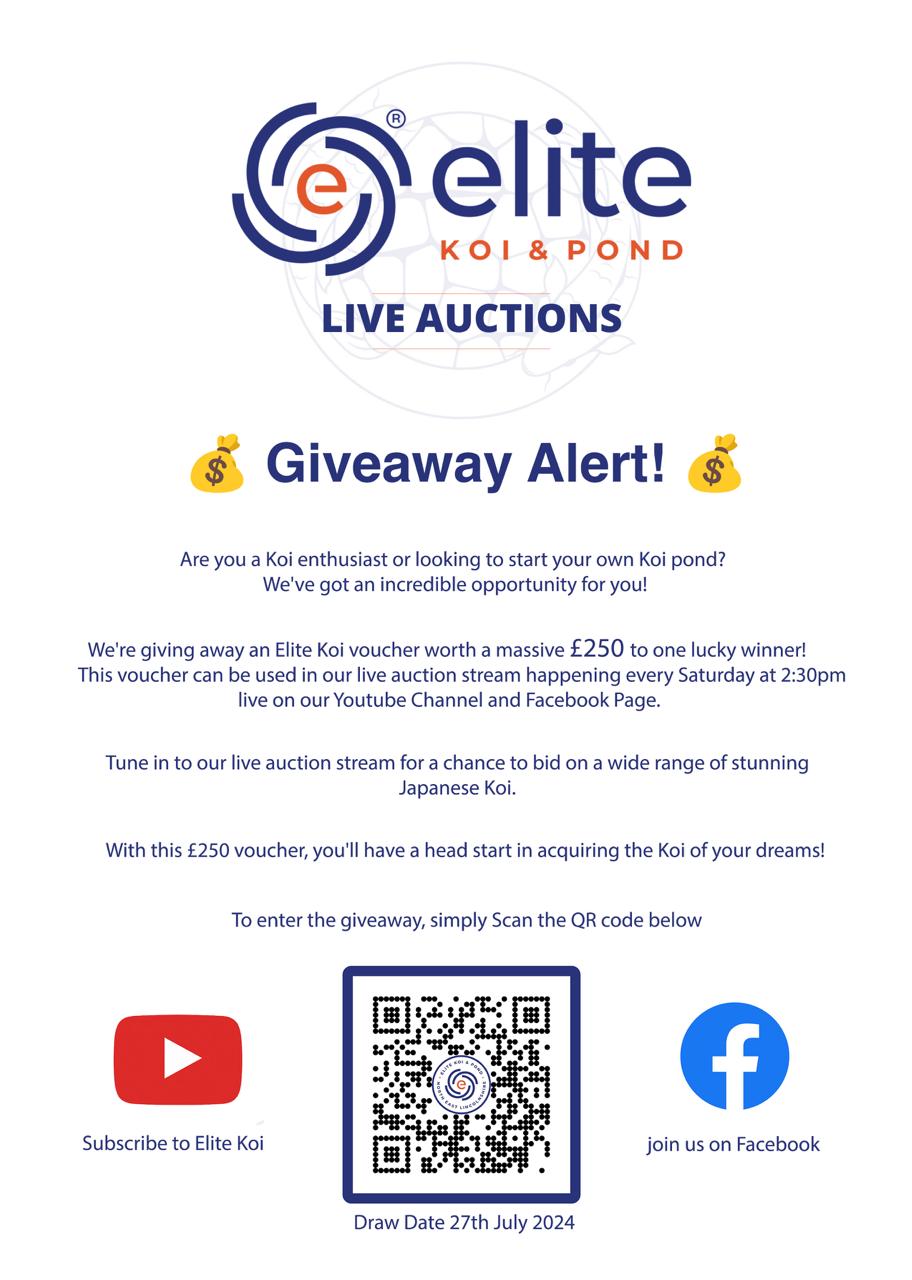 Win Big at Elite Koi's Summer Spectacular: £250 Voucher Giveaway & VIP Show Party! 🎉🐠
