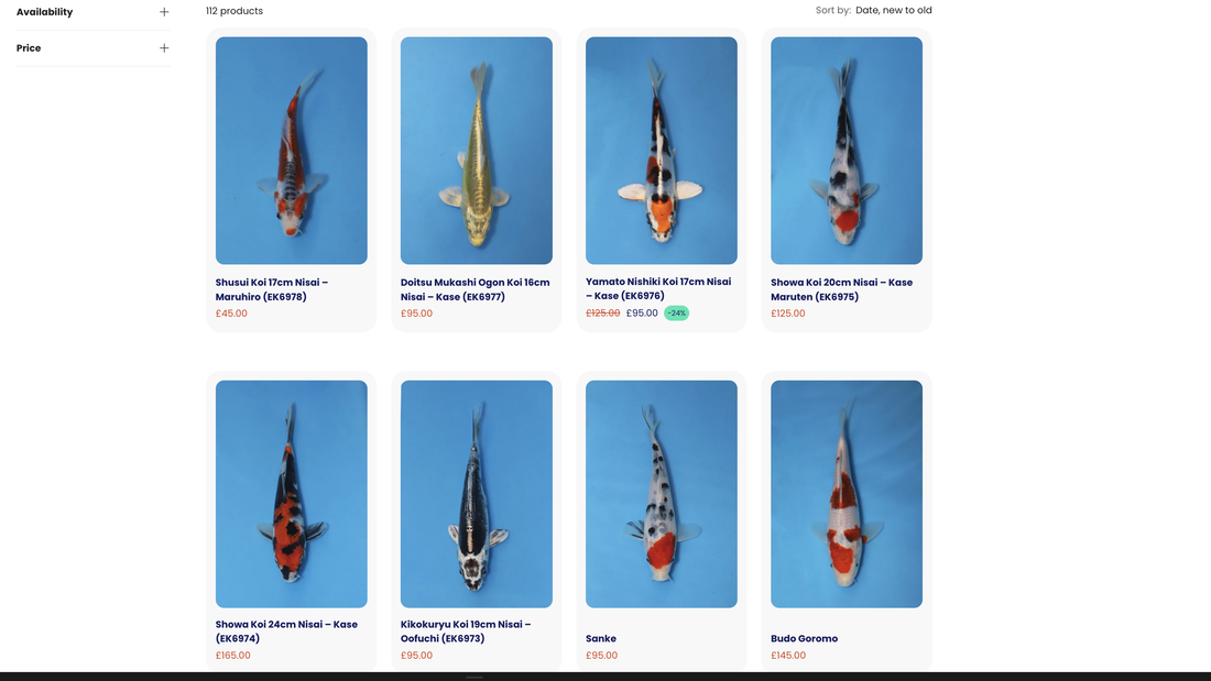 Koi carp for sale UK – selection of Japanese koi starting from £45 at Elite Koi