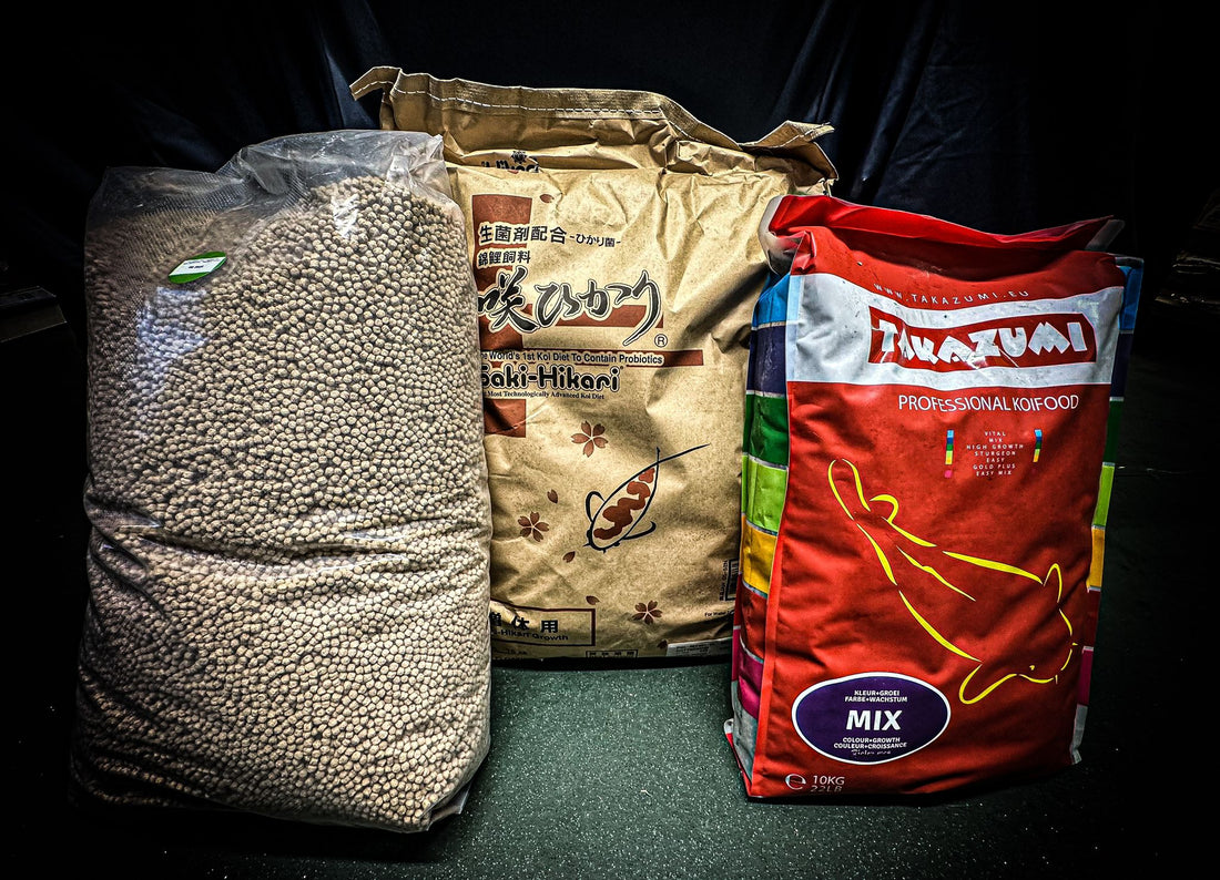 Inside the Elite Koi Grow Outs: A Journey of Passion and Excellence