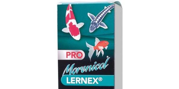 The Best Koi Fluke Treatment