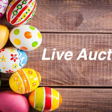Easter Live Auction Koi Selected for Saturday 8th April