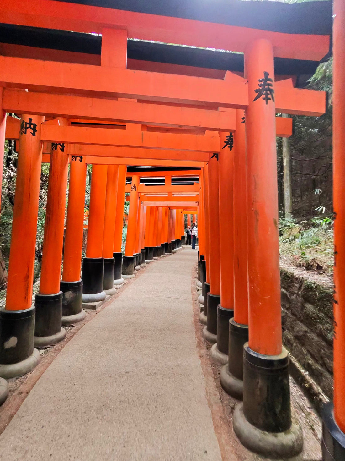 Day Three – Gold, Gates, and Values Found