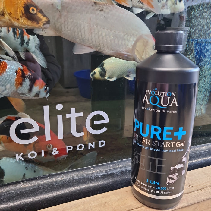 Evolution Aqua Pure + Filter Start Gel