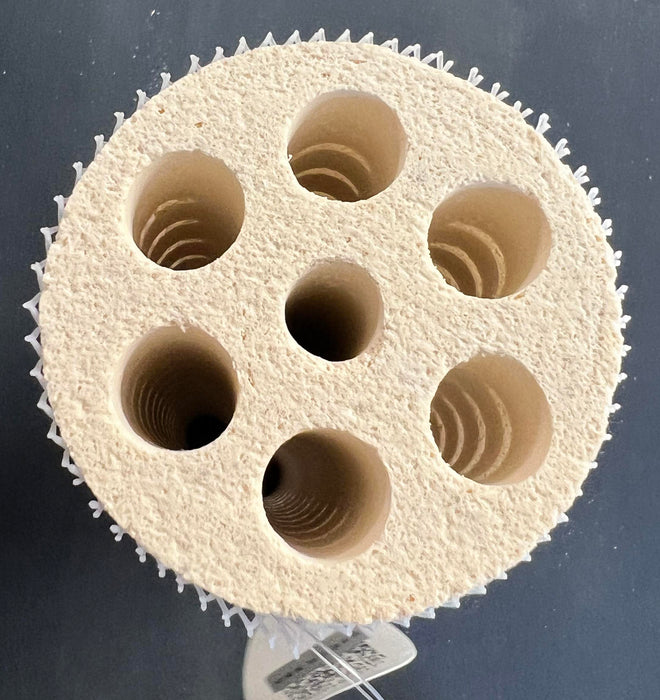 Lotus Root Bacteria House (XL) II