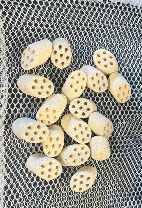 Lotus Root Nitro Ring 