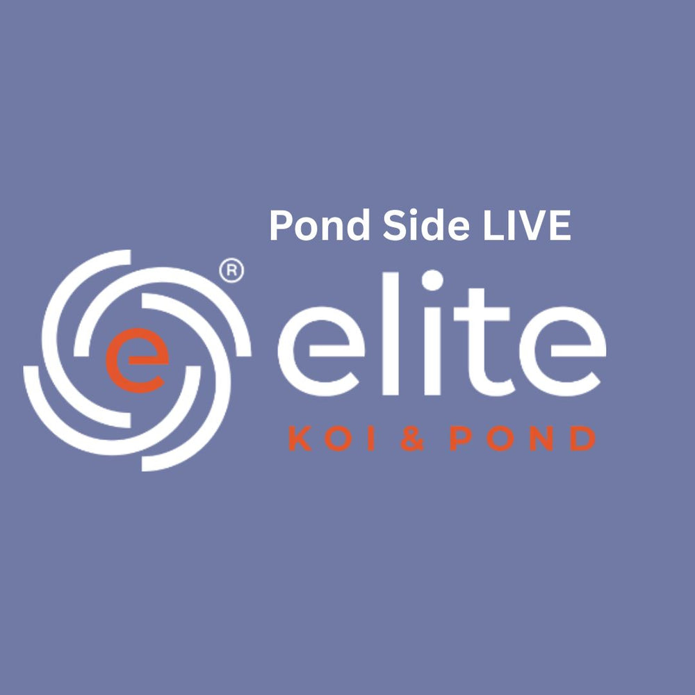 Pond Side Live 7:30pm (FREE To Join)