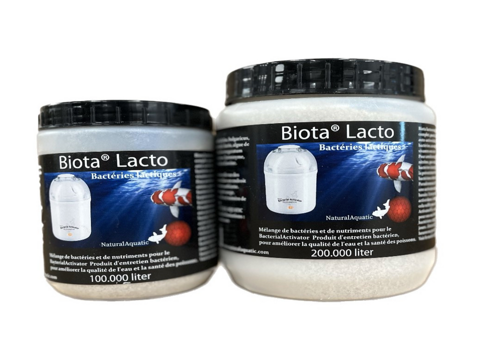 Lacto Bacillis Bacterial Treatment