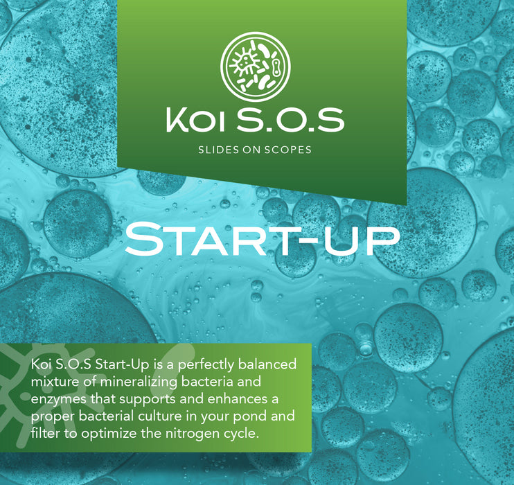 Koi SOS Start Up