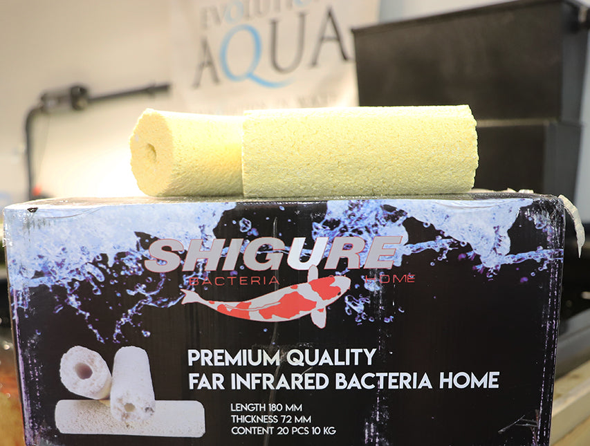 Far Infrared Bacteria Home Media