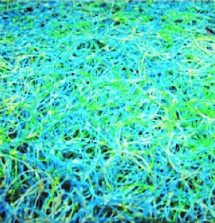 Japanese Matting (1.2m x 1m) Economy