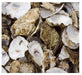 Oyster Shell in Net Bag 5kg